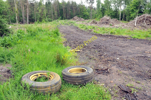 Photo 6"x4" Dumped wheels at the edge of some cleared forest Dyke\/NH9858 c2010