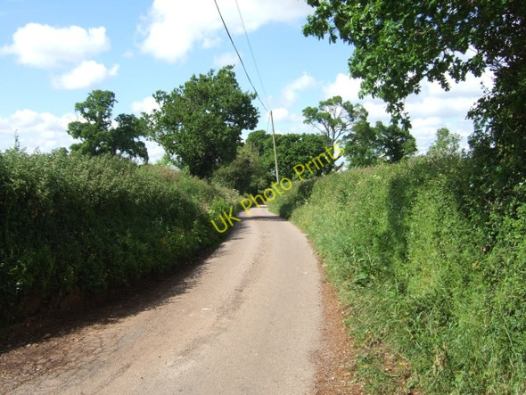 Photo 6"x4" Gribble Lane, near Rockbeare Hand and Pen c2010
