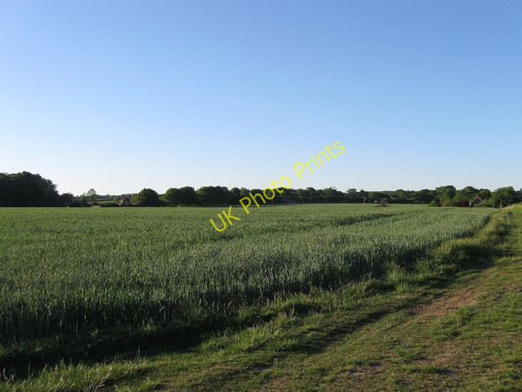 Photo 6"x4" Kiln Field Ashton Green c2010