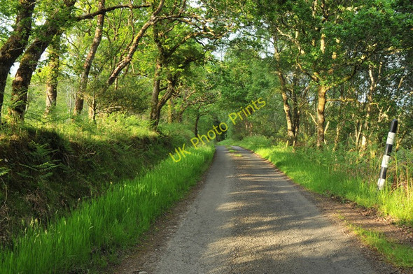 Photo 6"x4" Road from North Shian to Inverfolla North Shian c2010