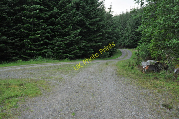 Photo 6"x4" Junction of the forest roads in Glen Duror Achadh nan Darach c2010