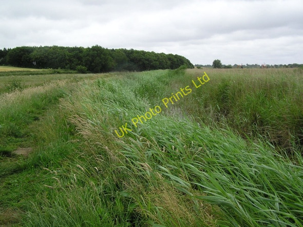Photo 6"x4" Footpath and fen, near How Hill How Hill\/TG3719 c2006