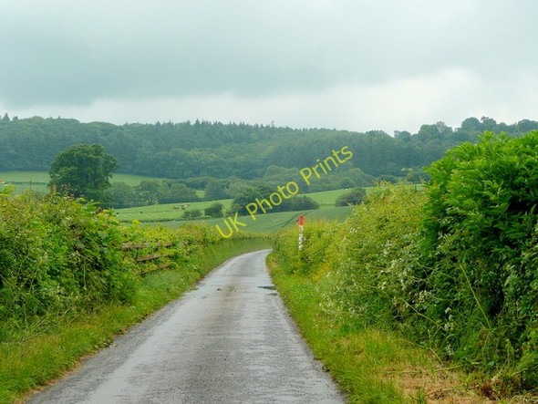 Photo 6"x4" Pitt Road Dorstone\/SO3141 c2010
