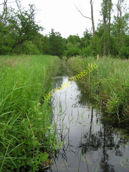 Photo 6"x4" Dyke and fen, How Hill How Hill\/TG3719 c2006