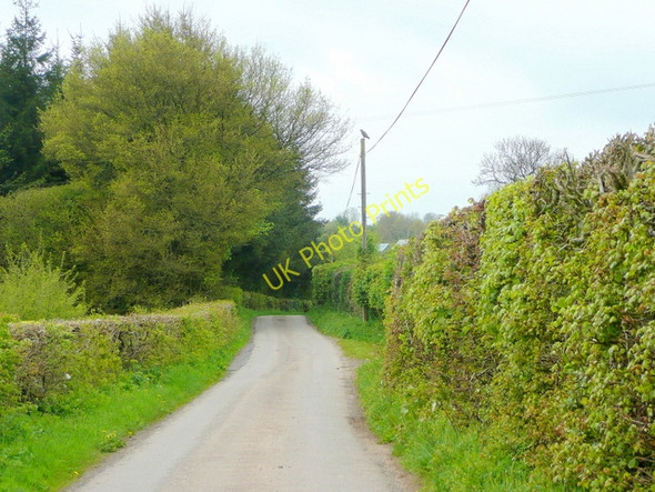 Photo 6"x4" Lane between Dorstone and Mynyddbrydd Dorstone\/SO3141 c2010