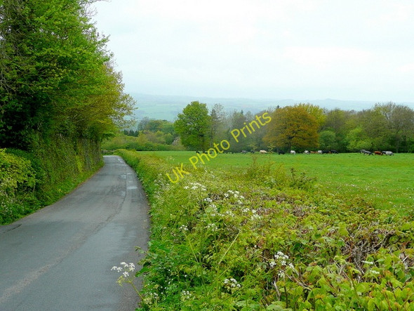 Photo 6"x4" The Mountain Road Hay-on-Wye\/Y Gelli Gandryll c2010
