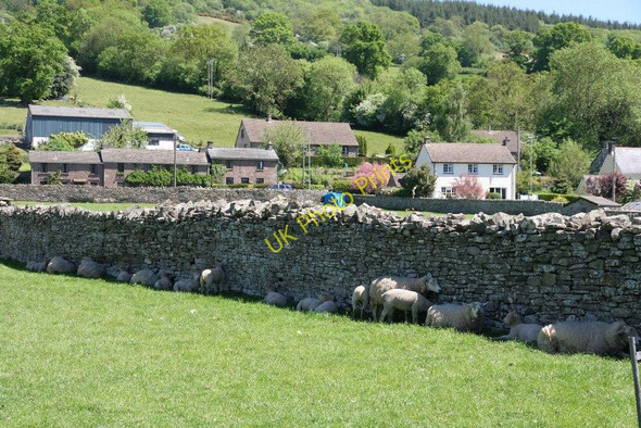 Photo 6"x4" Sheltering by the wall Tretower c2010