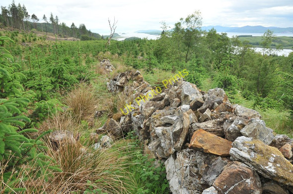 Photo 6"x4" Remains of a boundary wall near Appin House Portnacroish c2010