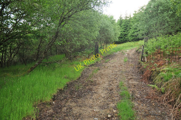 Photo 6"x4" Track through woodland near Duror Duror c2010