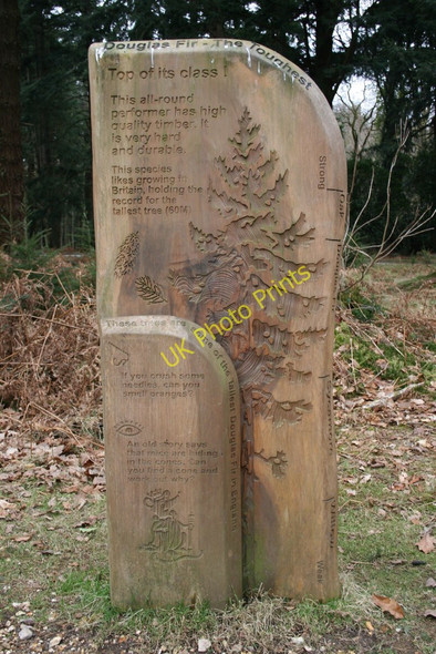 Photo 6"x4" Information Board,  New Forest, Hampshire North Weirs c2009