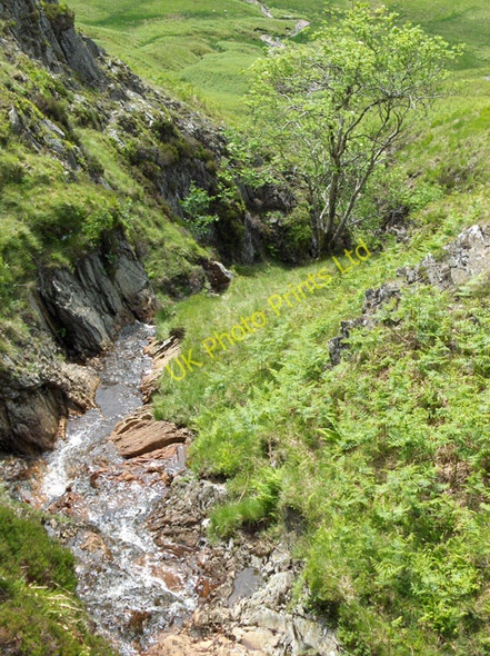 Photo 6"x4" Burn on the western flank of Meall Odhar Meall na h-Iolaire\/NN6415 c2006