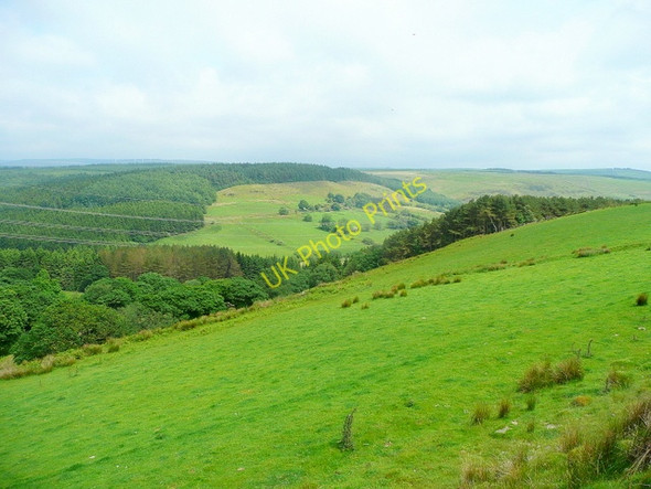 Photo 6"x4" Cwm Gwenffrwd Tonmawr c2010
