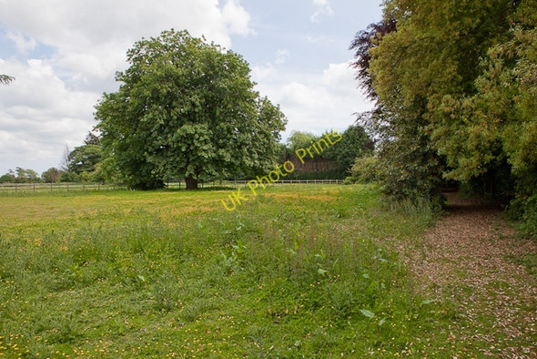 Photo 6"x4" Footpath at Sopley Park Sopley c2010