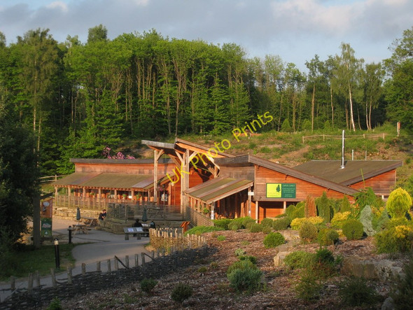 Photo 6"x4" Bedgebury Forest Visitor Centre Bedgebury Cross c2010