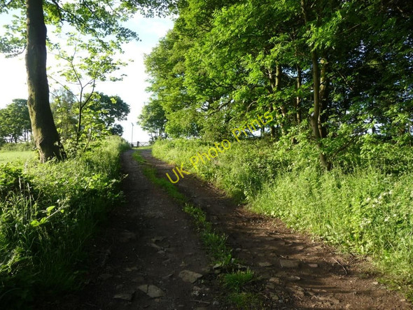 Photo 6"x4" Uphill track Flockton c2010