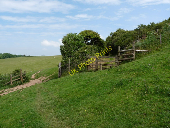 Photo 6"x4" The Footpath from Woolacombe to Ivycott Ossaborough c2010