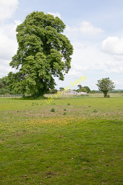 Photo 6"x4" Field at Sopley Park Sopley c2010