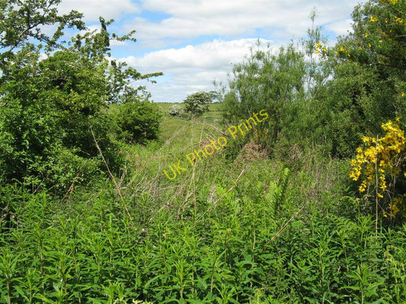 Photo 6"x4" Roadside scrubland near Hardgrove Ruthwell Station c2010