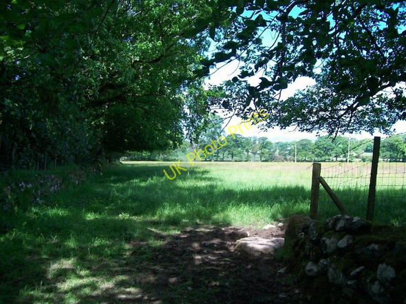 Photo 6"x4" An inland diversion of the Llyn Coastal Path Llanystumdwy c2010