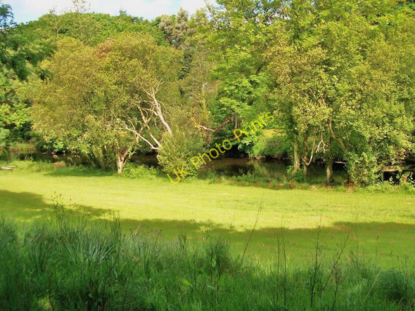 Photo 6"x4" The wooded banks of Afon Dwyfor Criccieth c2010