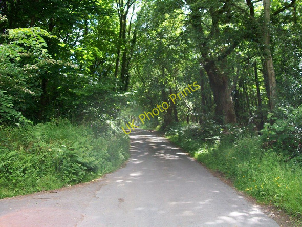 Photo 6"x4" View east along the backroad between Llanystumdwy and Criccieth Criccieth c2010