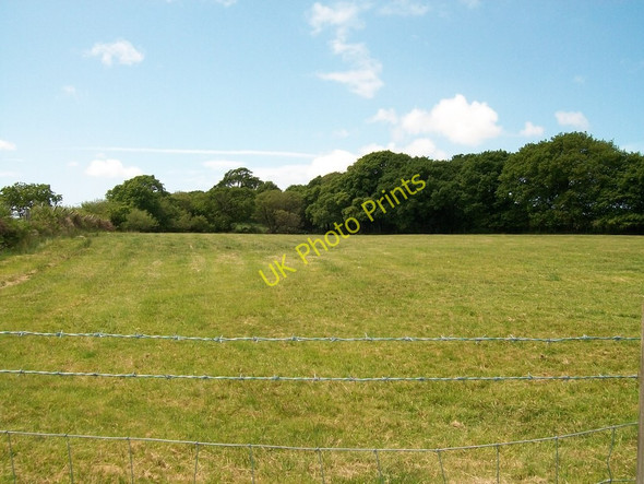 Photo 6"x4" Farmland and woodland west of the Tyddyn Crythor Lane Rhoslan c2010
