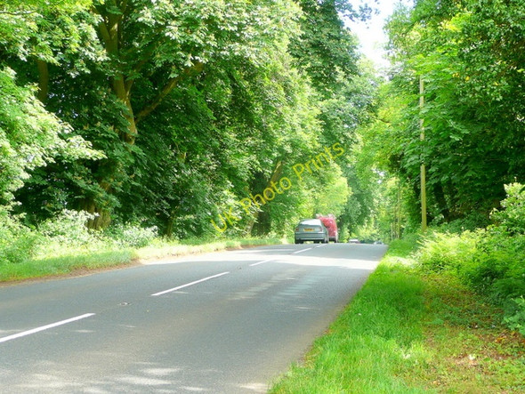 Photo 6"x4" Bream Avenue Bream's Meend c2010