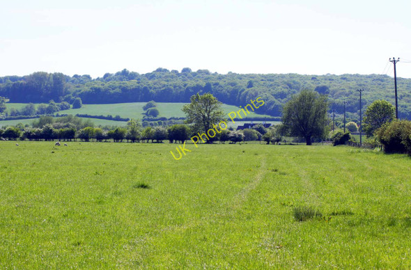 Photo 6"x4" Looking over a meadow towards Wytham Woods Wolvercote c2010