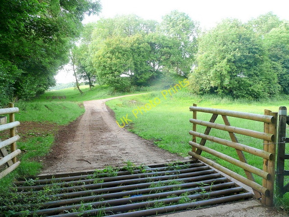 Photo 6"x4" Track to Stowe Stowe\/SO5606 c2010