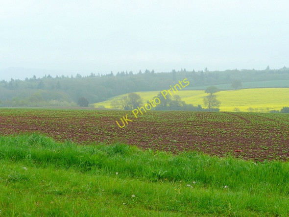 Photo 6"x4" Farmland in springtime Newtown\/SO5333 c2010