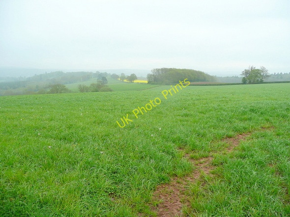 Photo 6"x4" Misty farmland Newtown\/SO5333 c2010