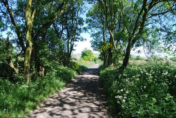 Photo 6"x4" The old railway line Fylingthorpe c2010