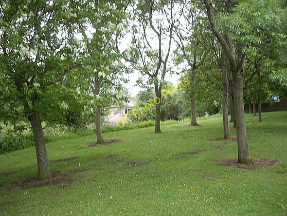 Photo 6"x4" Rubislaw Park Aberdeen\/NJ9206 c2010
