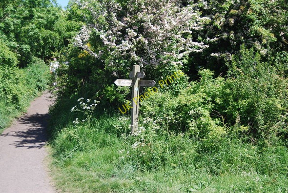 Photo 6"x4" Finger post, Middlewood Lane Fylingthorpe c2010
