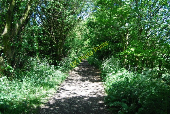 Photo 6"x4" Old railway line north of Middlewood Lane Fylingthorpe c2010