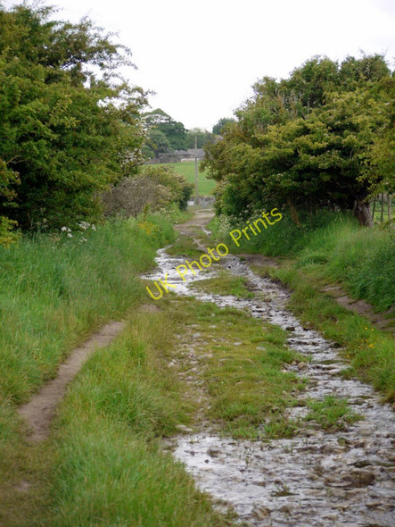 Photo 6"x4" Track from Kiln Point to Budle Waren Mill c2010