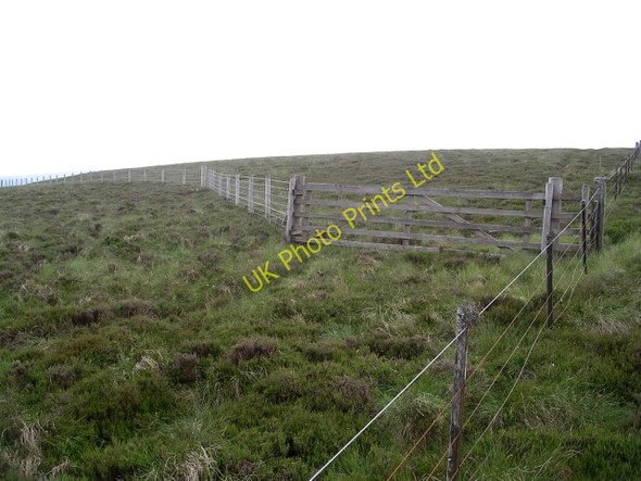 Photo 6"x4" Gate and fence, Deepslack Knowe Dryhope c2006