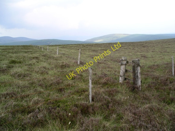 Photo 6"x4" Fence junction, Deepslack Knowe Dryhope c2006