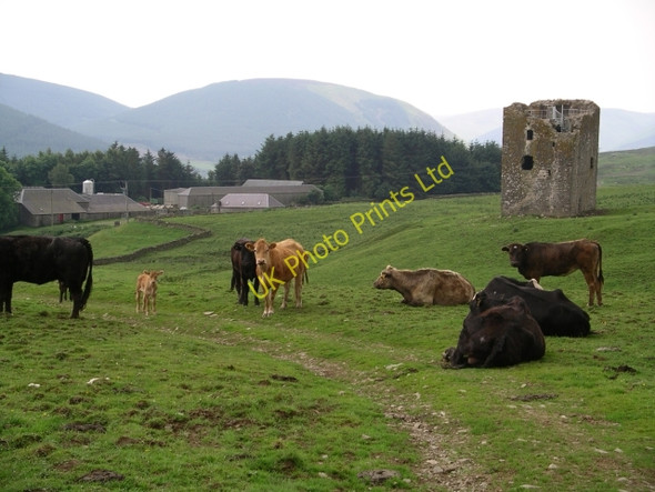 Photo 6"x4" Dryhope Tower and Dryhope Farm Dryhope c2006