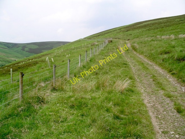 Photo 6"x4" Track and fence, Dryhope valley Dryhope c2006