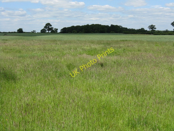 Photo 6"x4" Fields adjoining Smethwick Lane Smethwick Green c2010