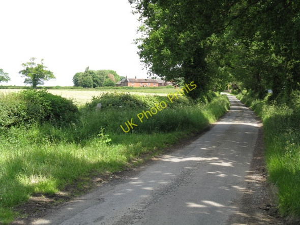 Photo 6"x4" Mill Lane Sandlow Green c2010