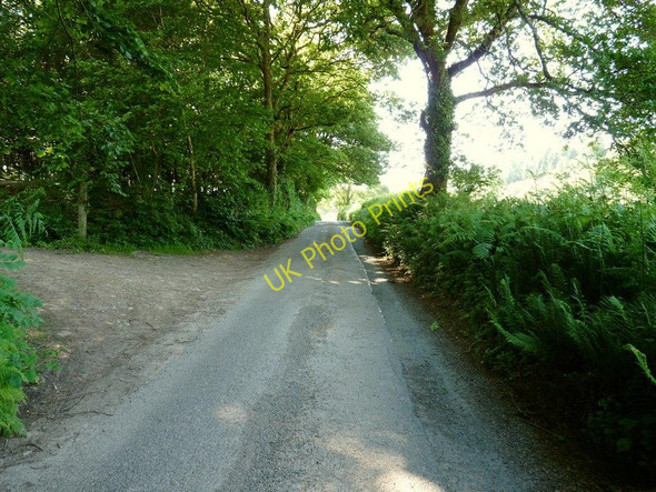 Photo 6"x4" A road which runs through Buckland Down Bradwell\/SS4942 c2010