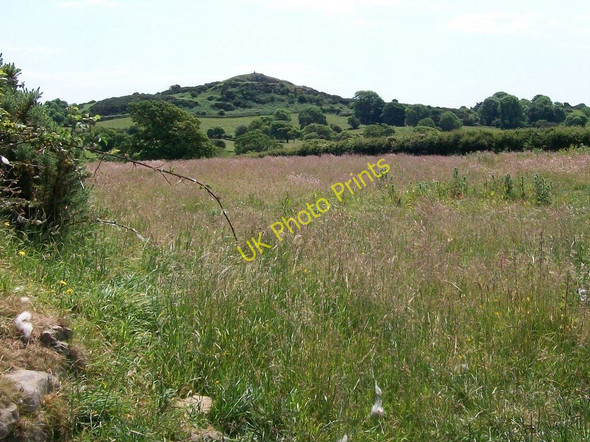 Photo 6"x4" View across a hay field towards the rock outcrops above Penlon Llyn Pwllheli c2010