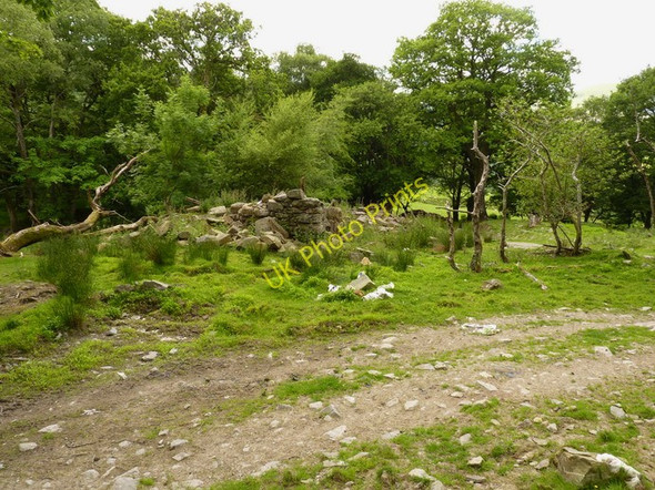 Photo 6"x4" The ruins of Cwm-yr-haidd-isaf Cwm-Cewydd c2010