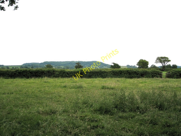 Photo 6"x4" Narrow field east of A38, Berkeley Heath: 2 Berkeley Heath c2010