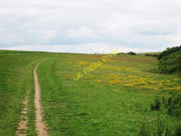 Photo 6"x4" Fields on South Down Way Folkington c2010