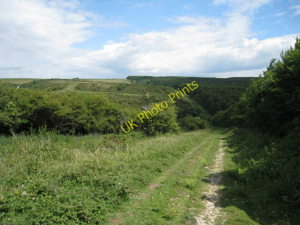 Photo 6"x4" Footpath beside Friston Woods Litlington\/TQ5201 c2010