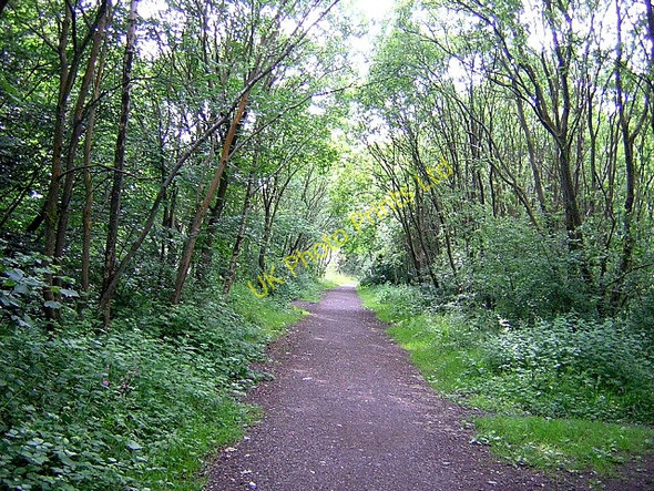 Photo 6"x4" Cycleway in Milton of Campsie Milton of Campsie c2006
