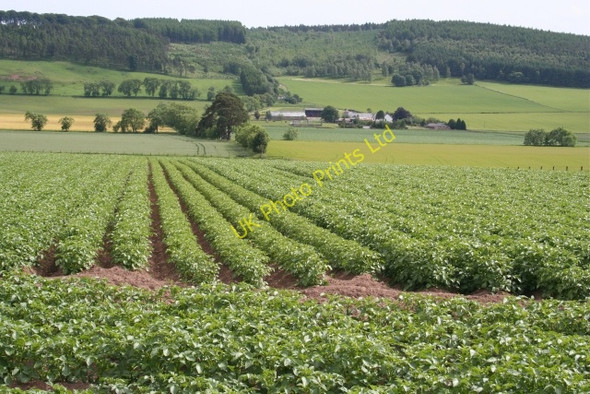 Photo 6"x4" Easter Meathie Easter Meathie c2006